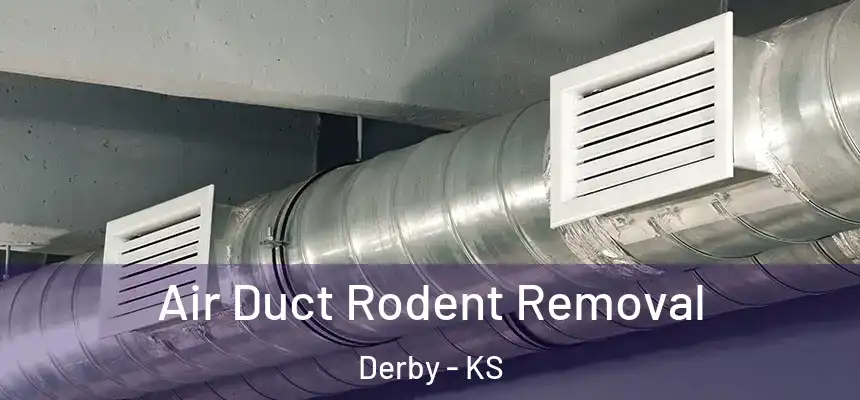 Air Duct Rodent Removal Derby - KS