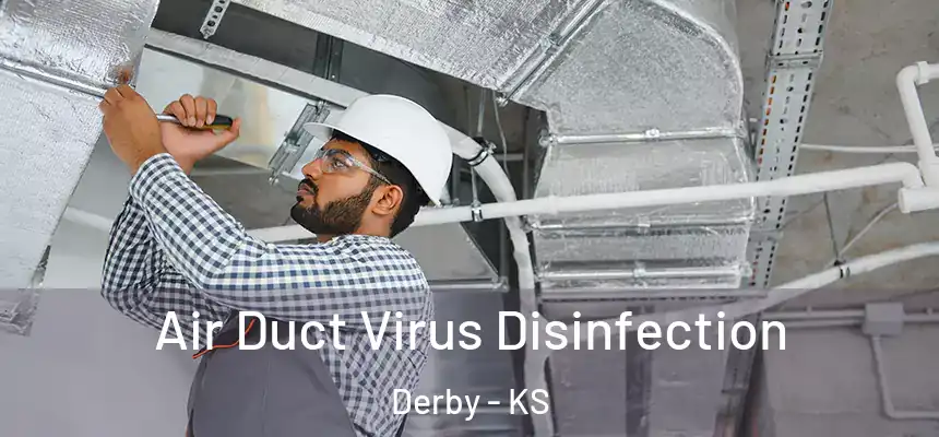  Air Duct Virus Disinfection Derby - KS