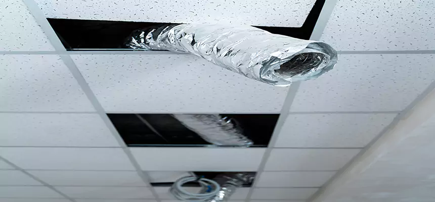 Affordable HVAC Sanitizing After Pest Removal in Derby