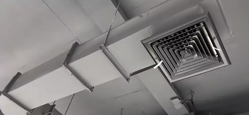 Our Pest Removal From Ducts Services in Derby, KS