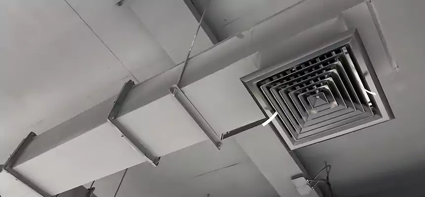 Our Rodent Droppings In Vents Services in Derby, KS