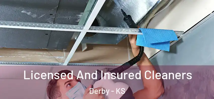  Licensed And Insured Cleaners Derby - KS
