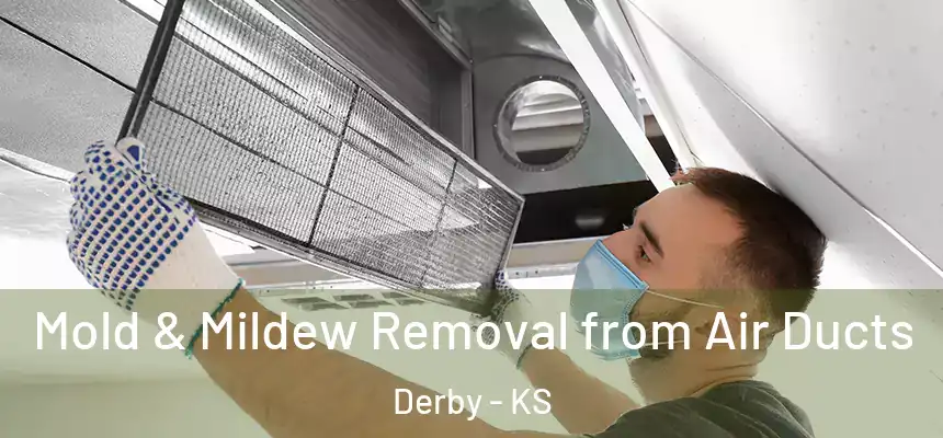 Mold & Mildew Removal from Air Ducts Derby - KS