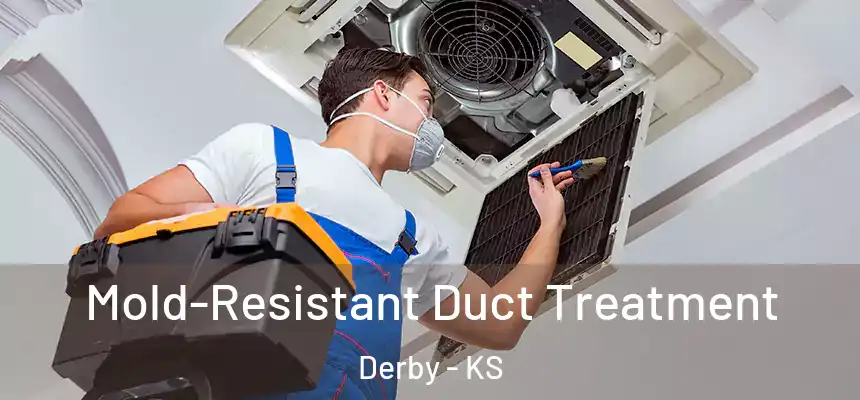  Mold-Resistant Duct Treatment Derby - KS