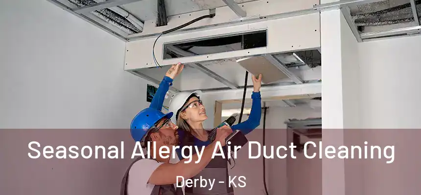 Seasonal Allergy Air Duct Cleaning Derby - KS