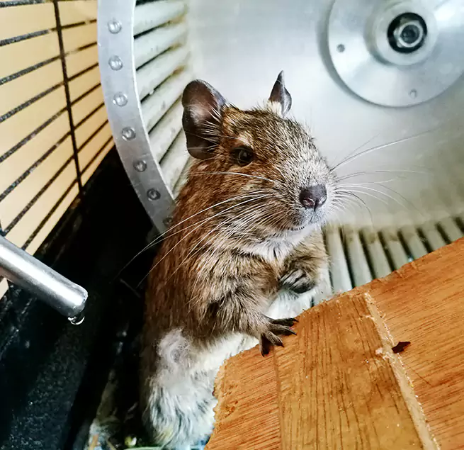 Why Homeowners & Businesses Trust Us Derby, KS?